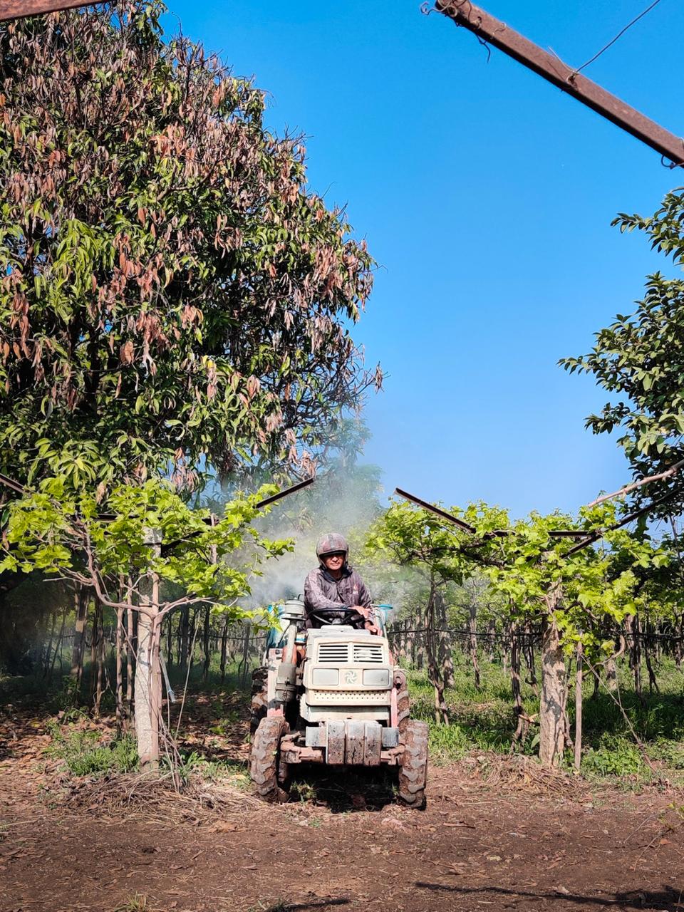 Farm management