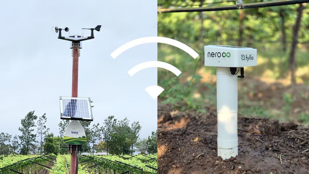 Is Agri-Tech Still Optional for Farmers? Why Smart Farming Is Now a Necessity