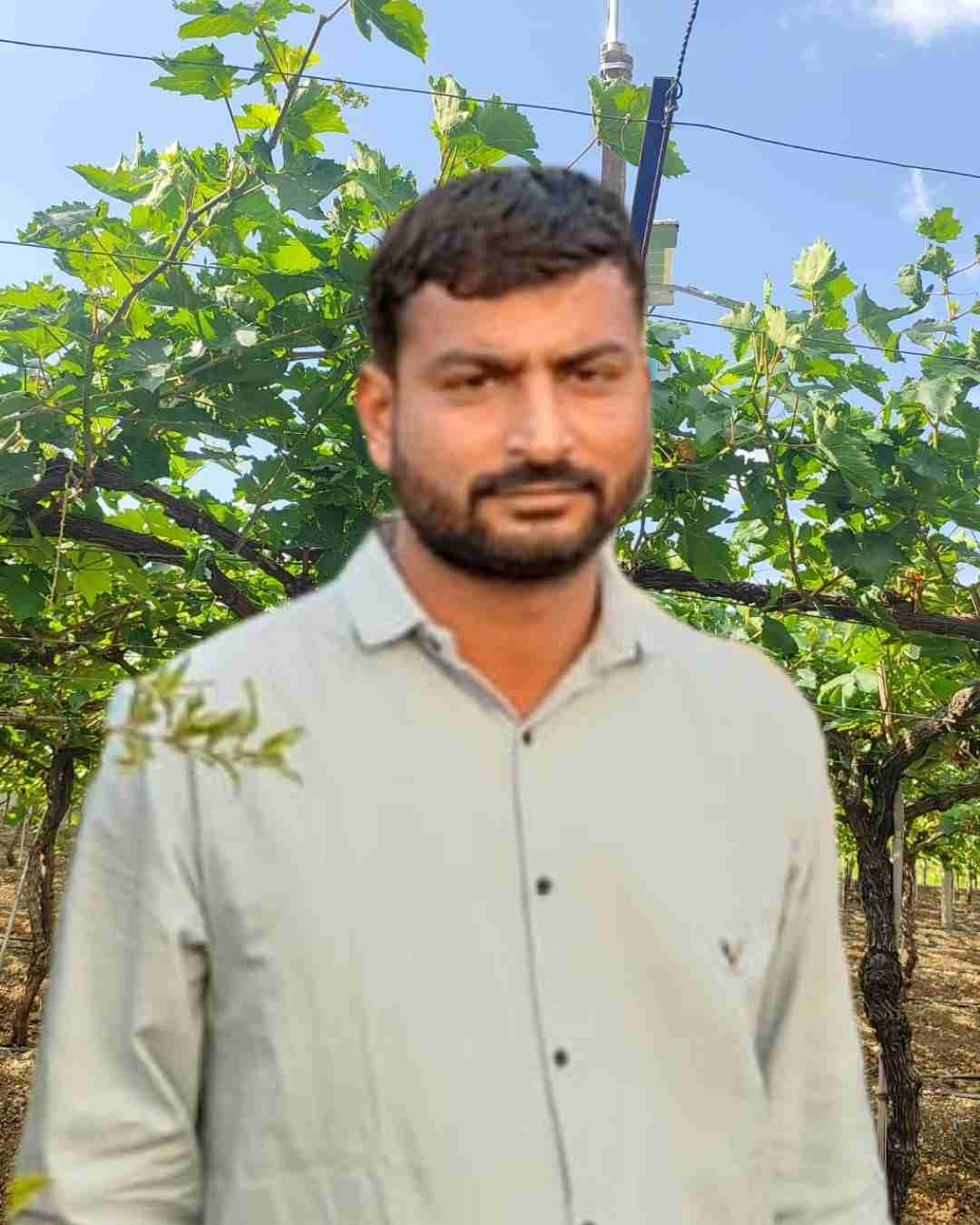 Fyllo Farmer