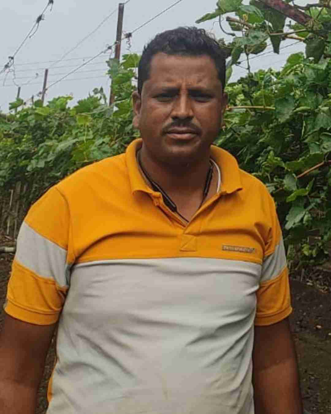 Fyllo Farmer