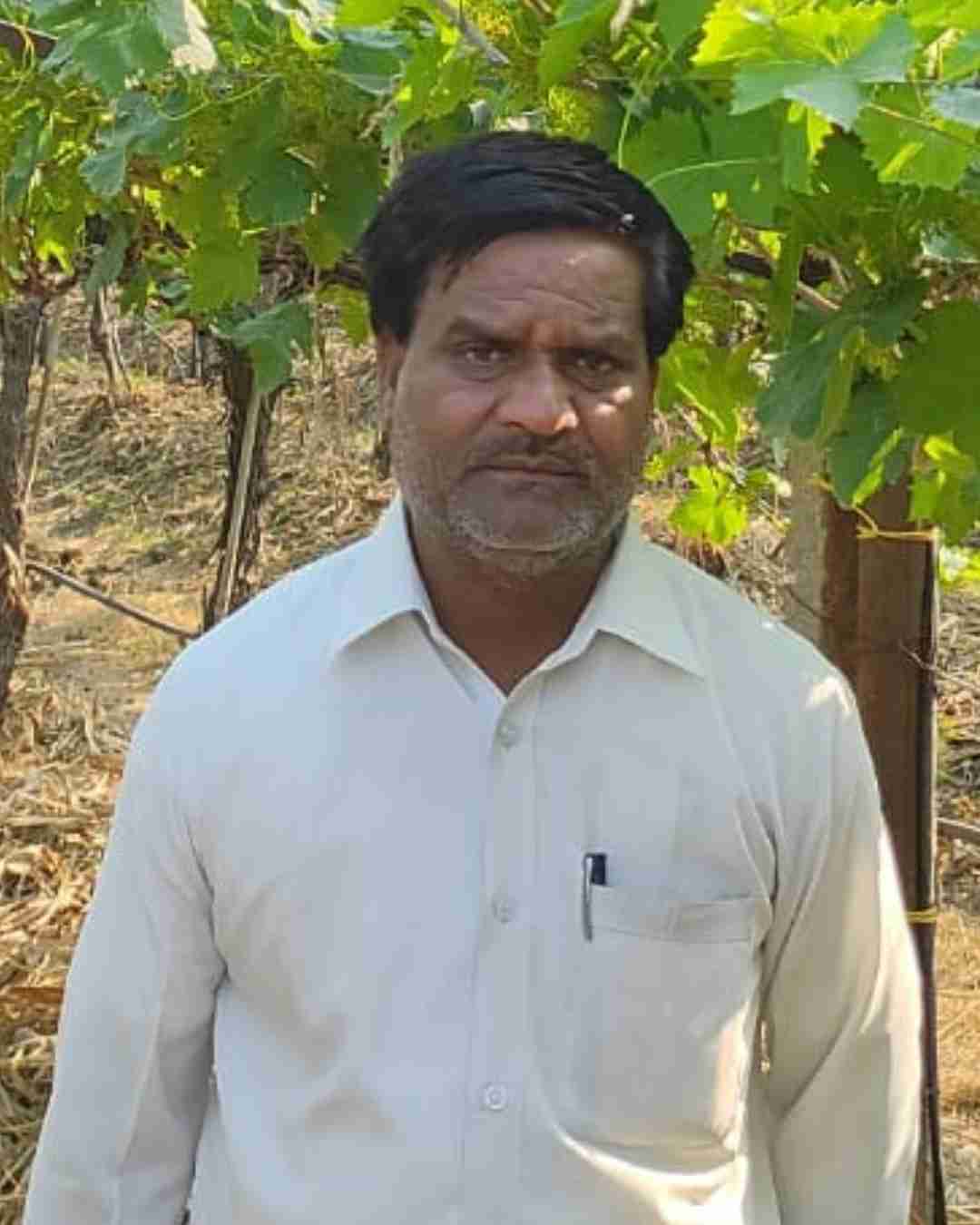 Fyllo Farmer