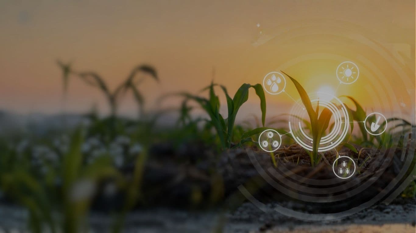 Solutions Background